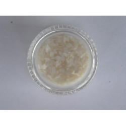 Scoica pisata alba Ornamente